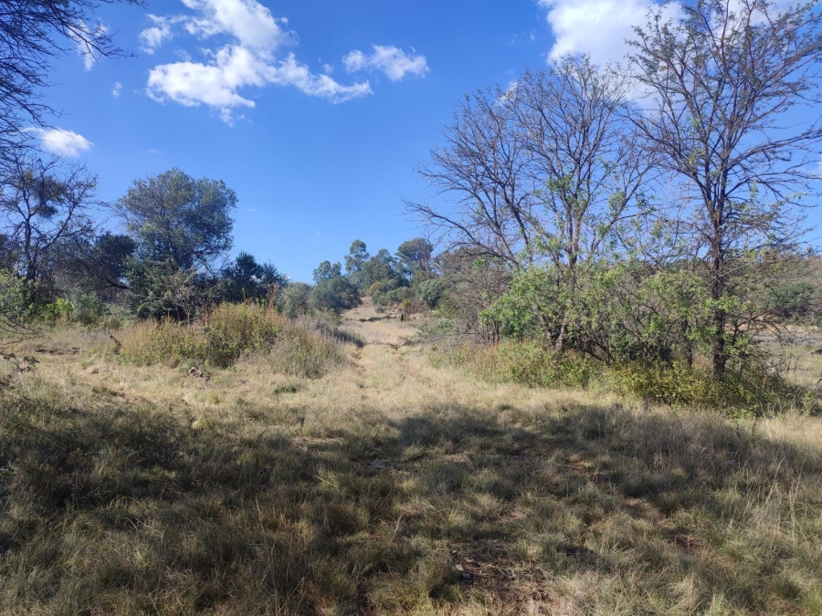 4 Bedroom Property for Sale in Lichtenburg North West